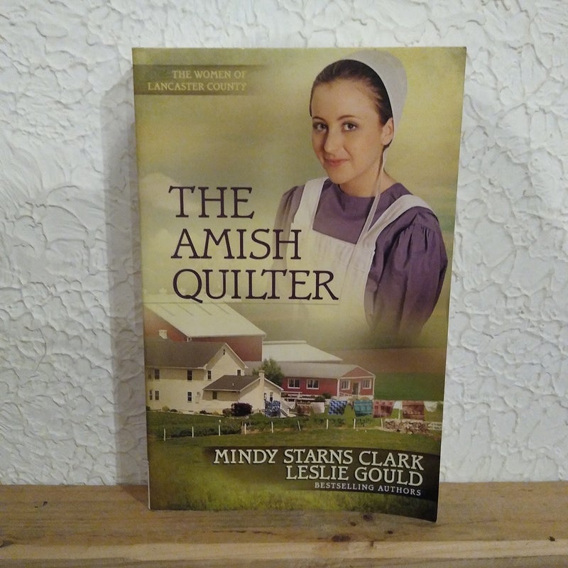 The Amish Quilter