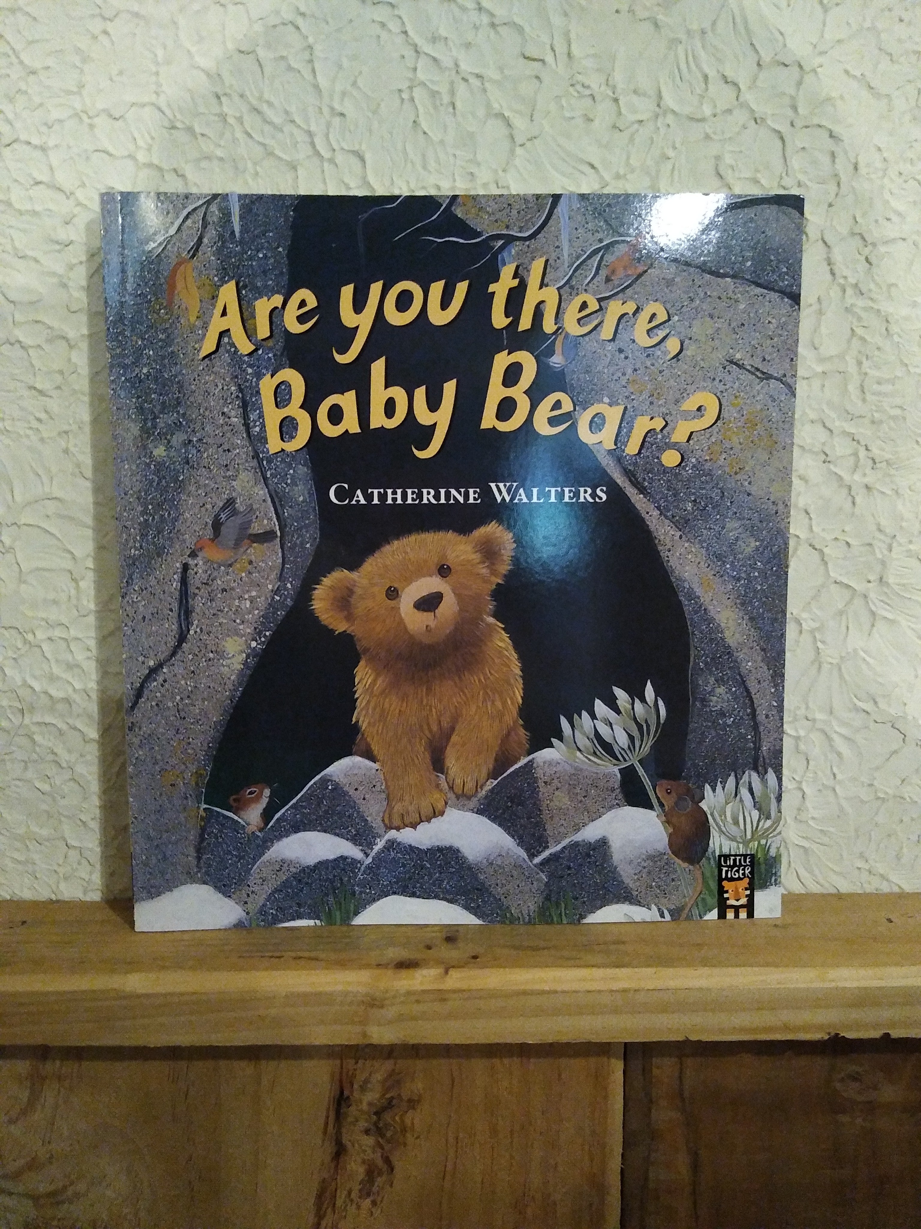 Are You There, Baby Bear?