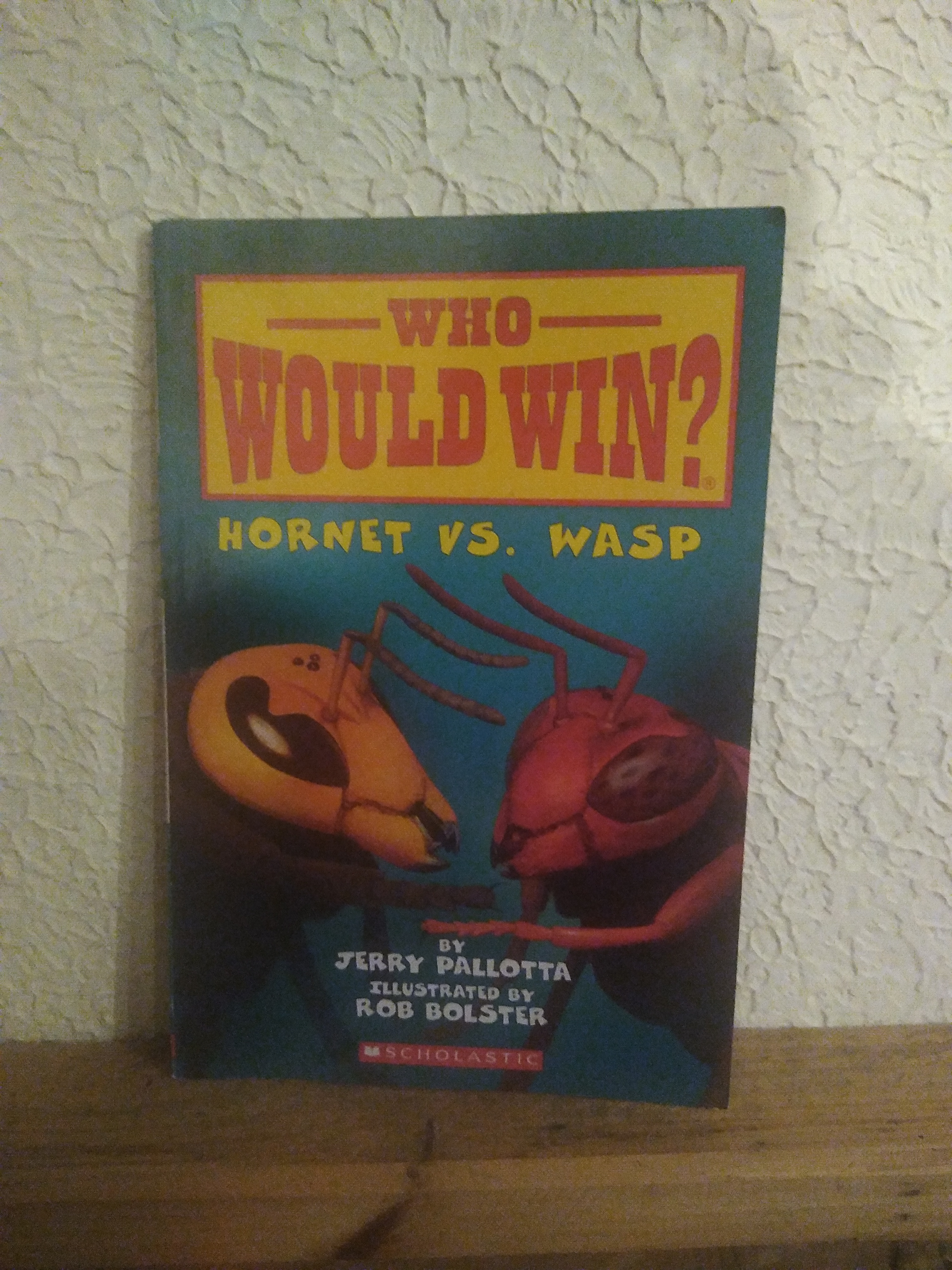 Sale image for 5376bd5d-1aca-42fe-8ba1-0b4298f7dcb4-7k58LXU99Fe43CHCNOfMWImo7Nh2