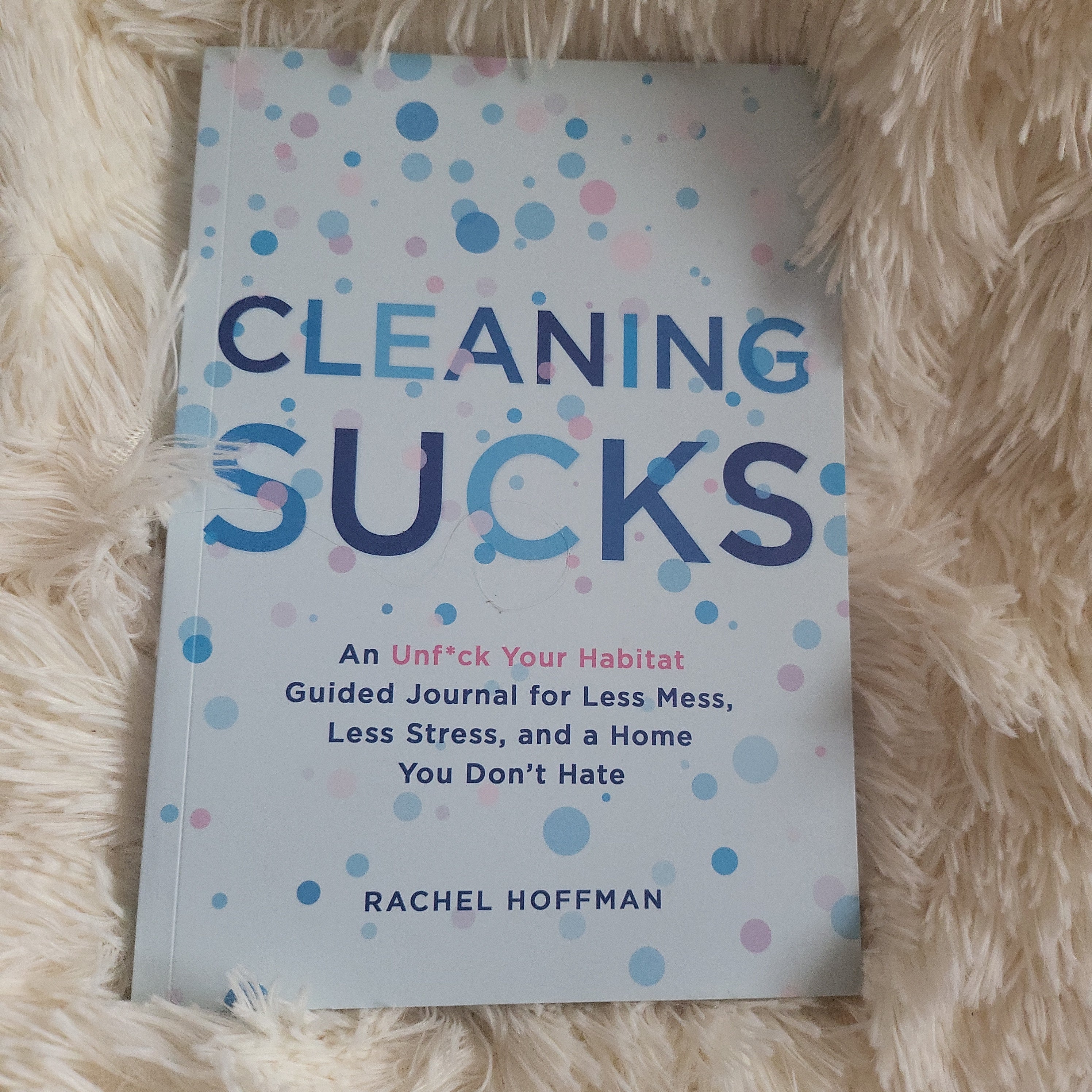 Cleaning Sucks