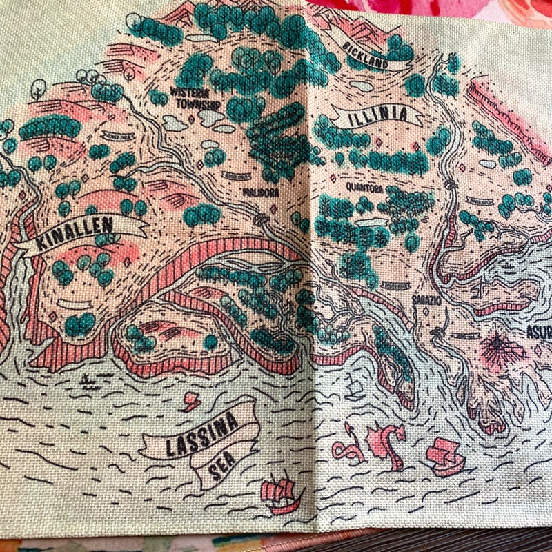 Two Brand New Placemats