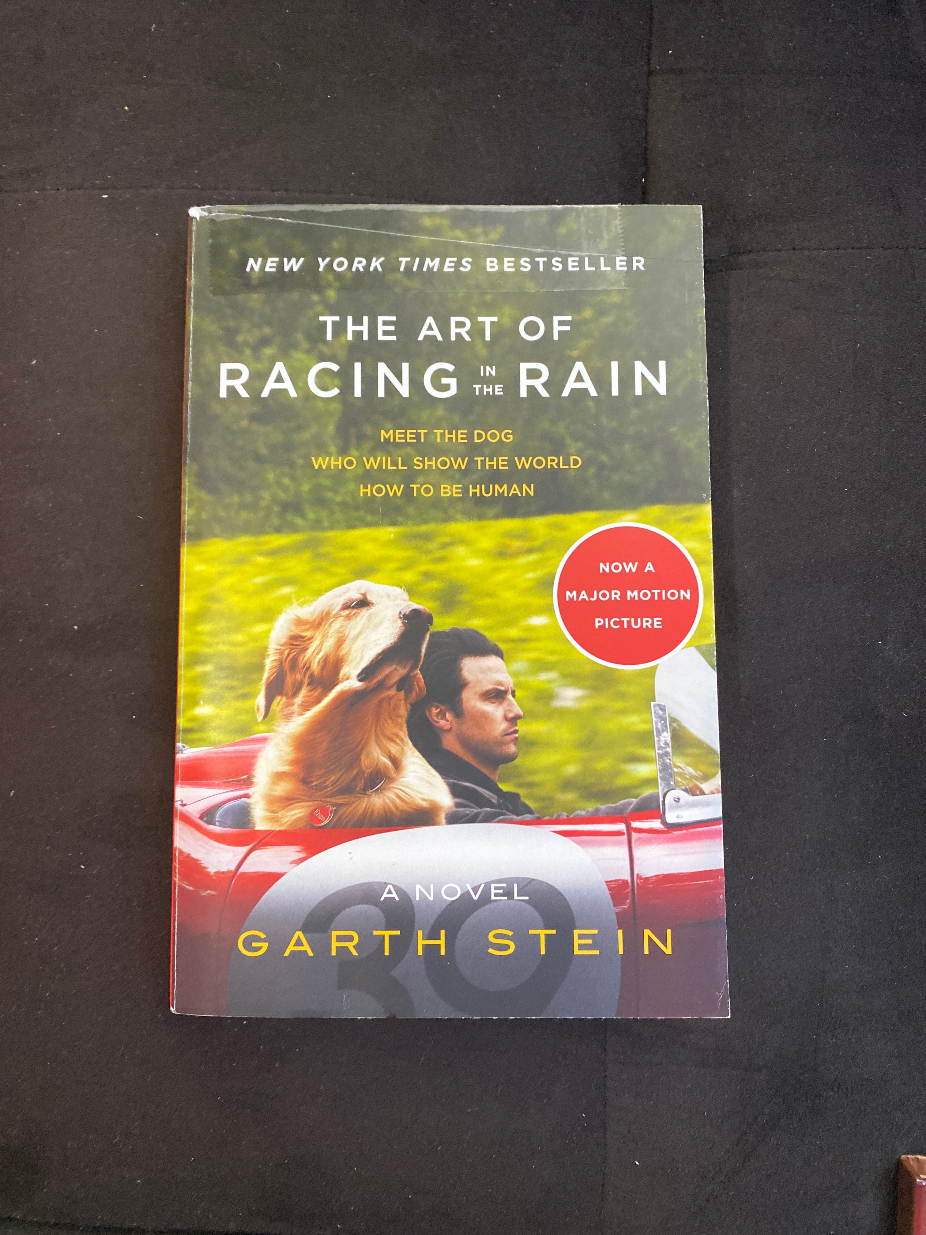 The Art of Racing in the Rain Movie Tie-In Edition