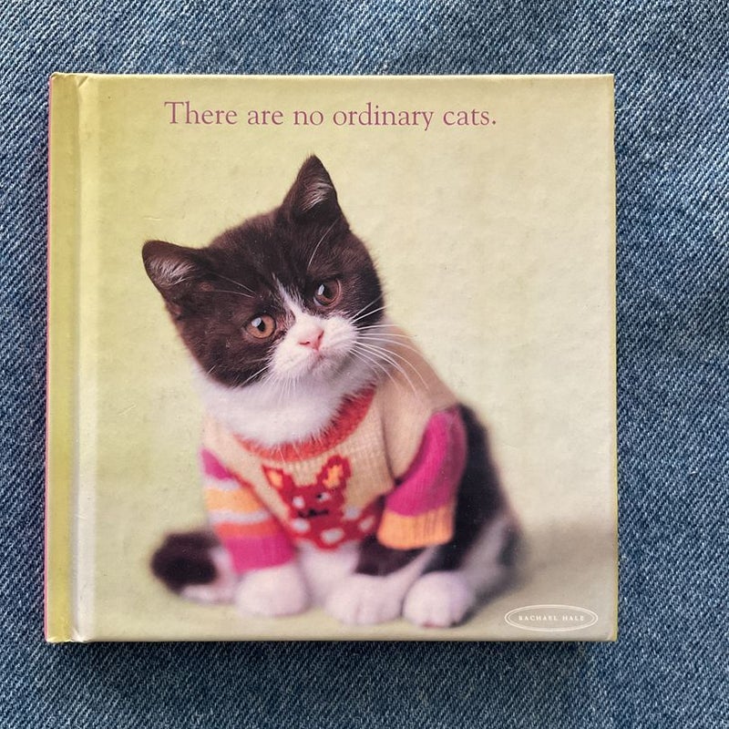 There Are No Ordinary Cats