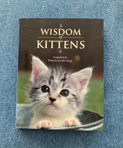 Wisdom of Kittens