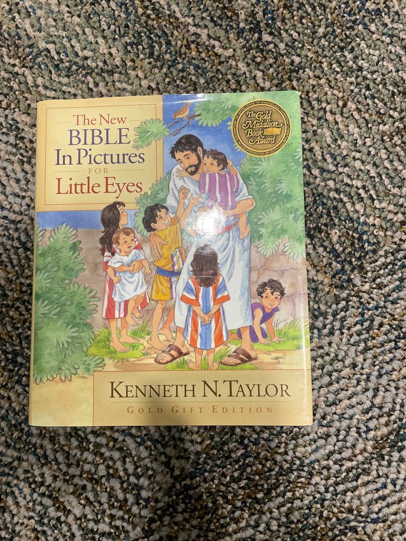 The New Bible in Pictures for Little Eyes