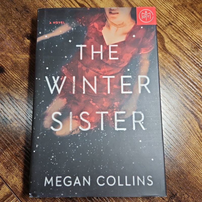 The Winter Sister