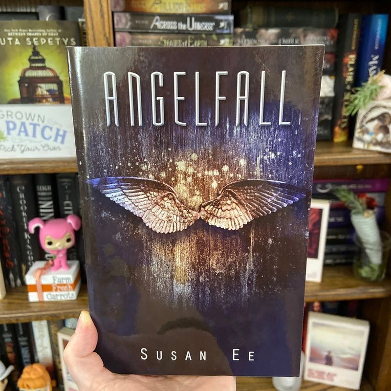 Angelfall