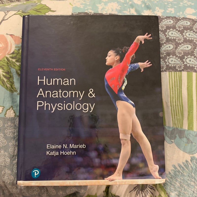 Human Anatomy and Physiology