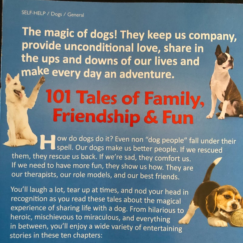 Chicken Soup for the Soul: the Magic of Dogs