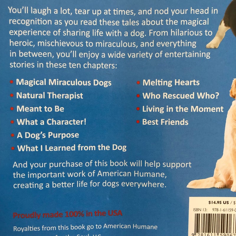 Chicken Soup for the Soul: the Magic of Dogs