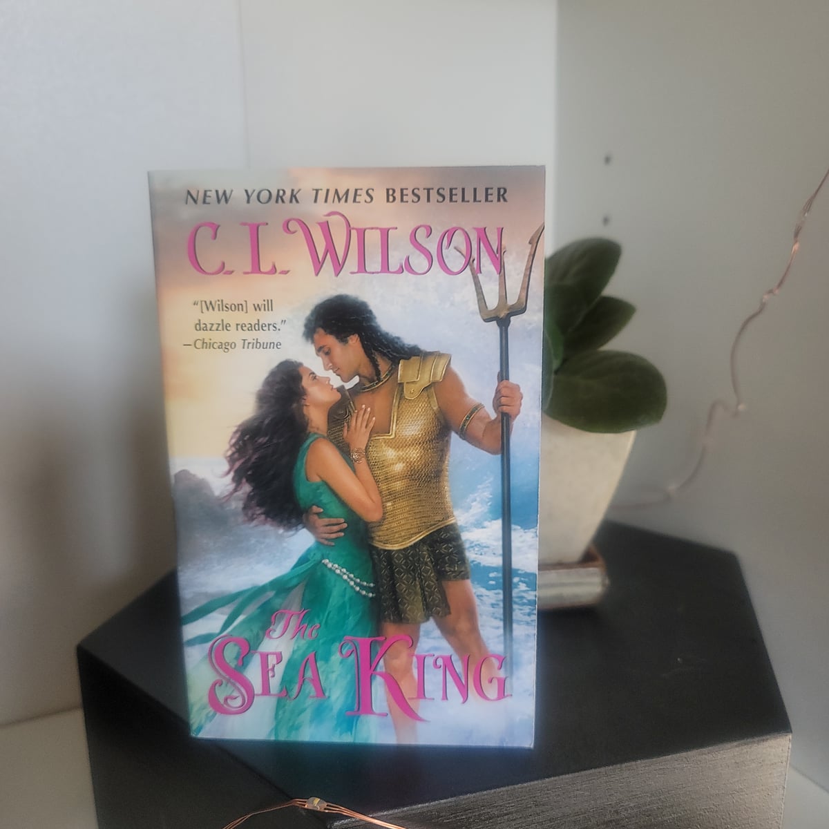 The Sea King by C. L. Wilson