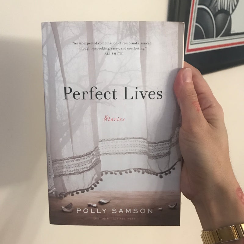 Perfect Lives by Polly Samson, Paperback Pangobooks