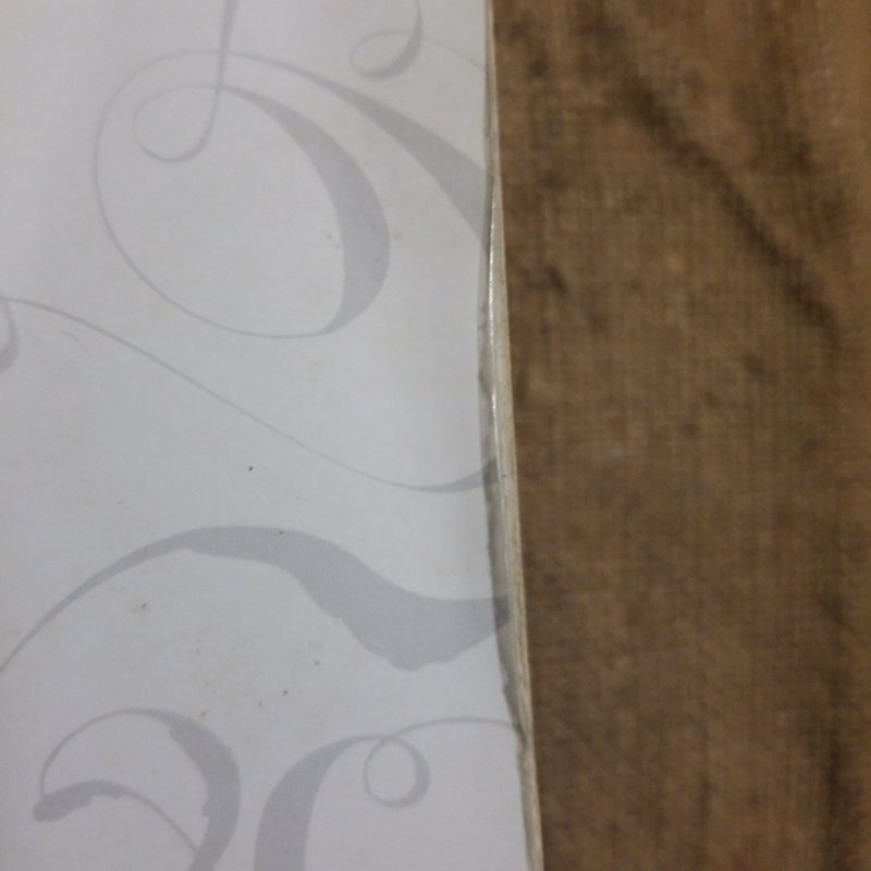 The Nine Lives of Chloe King