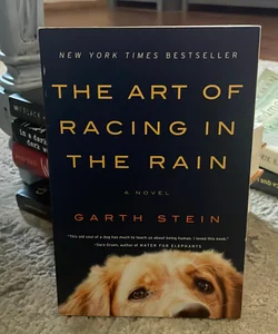 The Art of Racing in the Rain