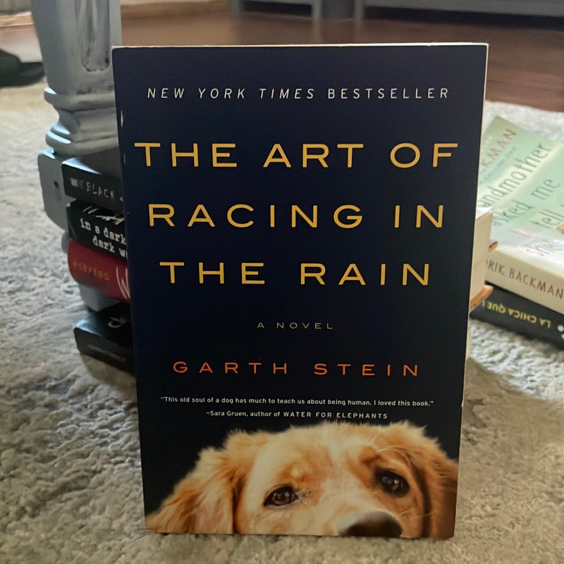 The Art of Racing in the Rain