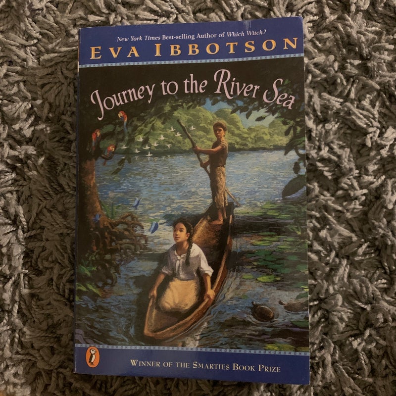 Journey to the River Sea