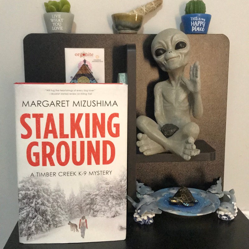 Stalking Ground