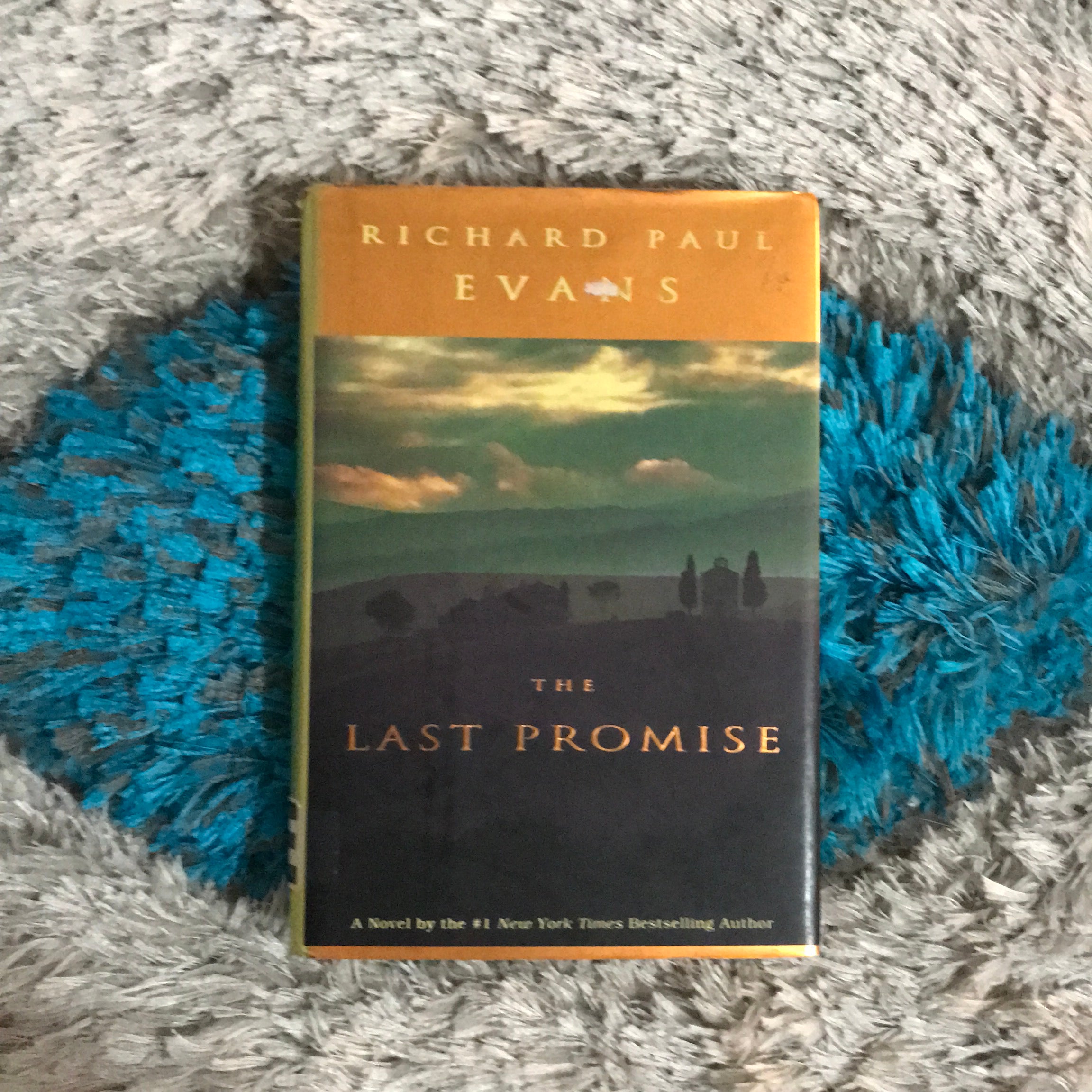The Last Promise