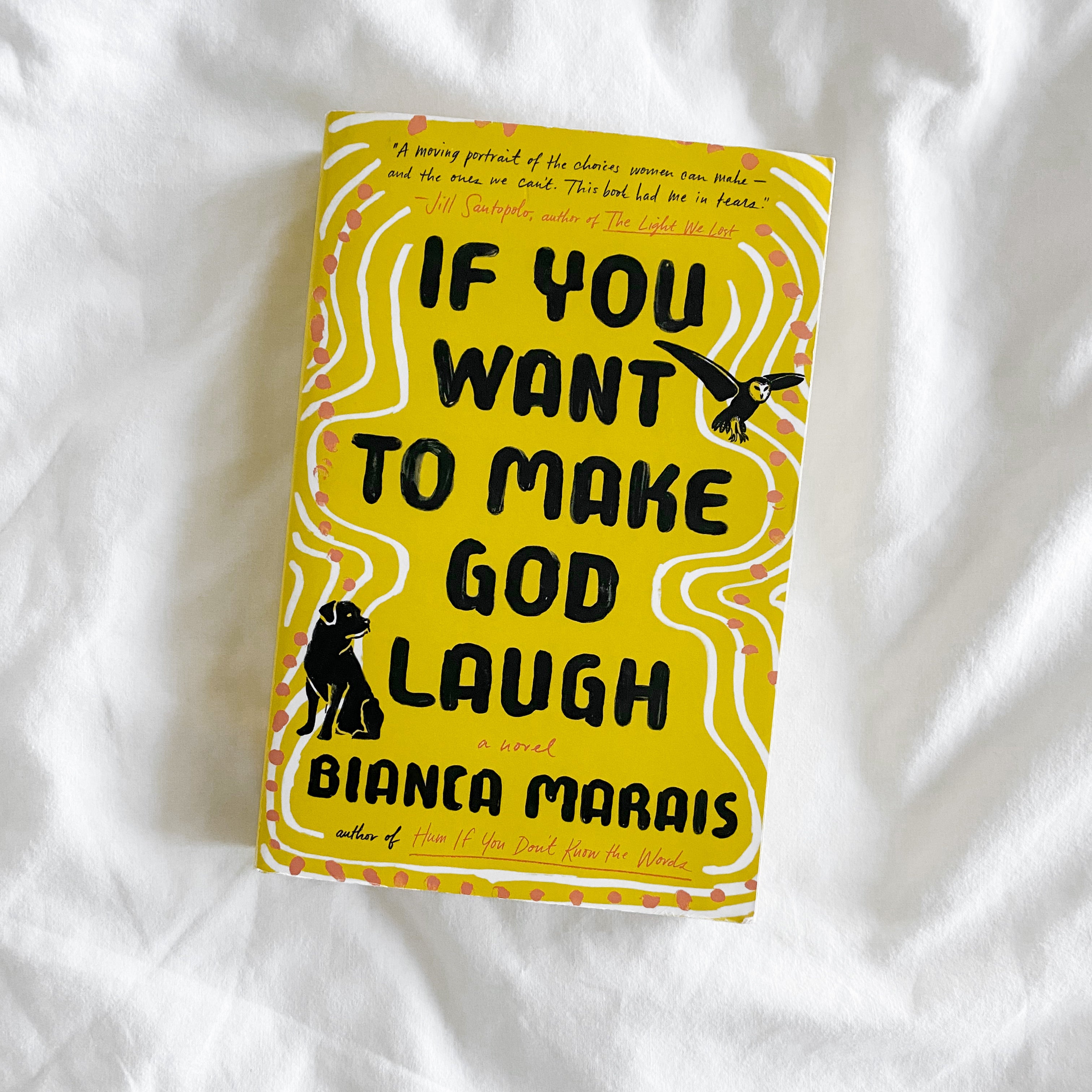 If You Want to Make God Laugh