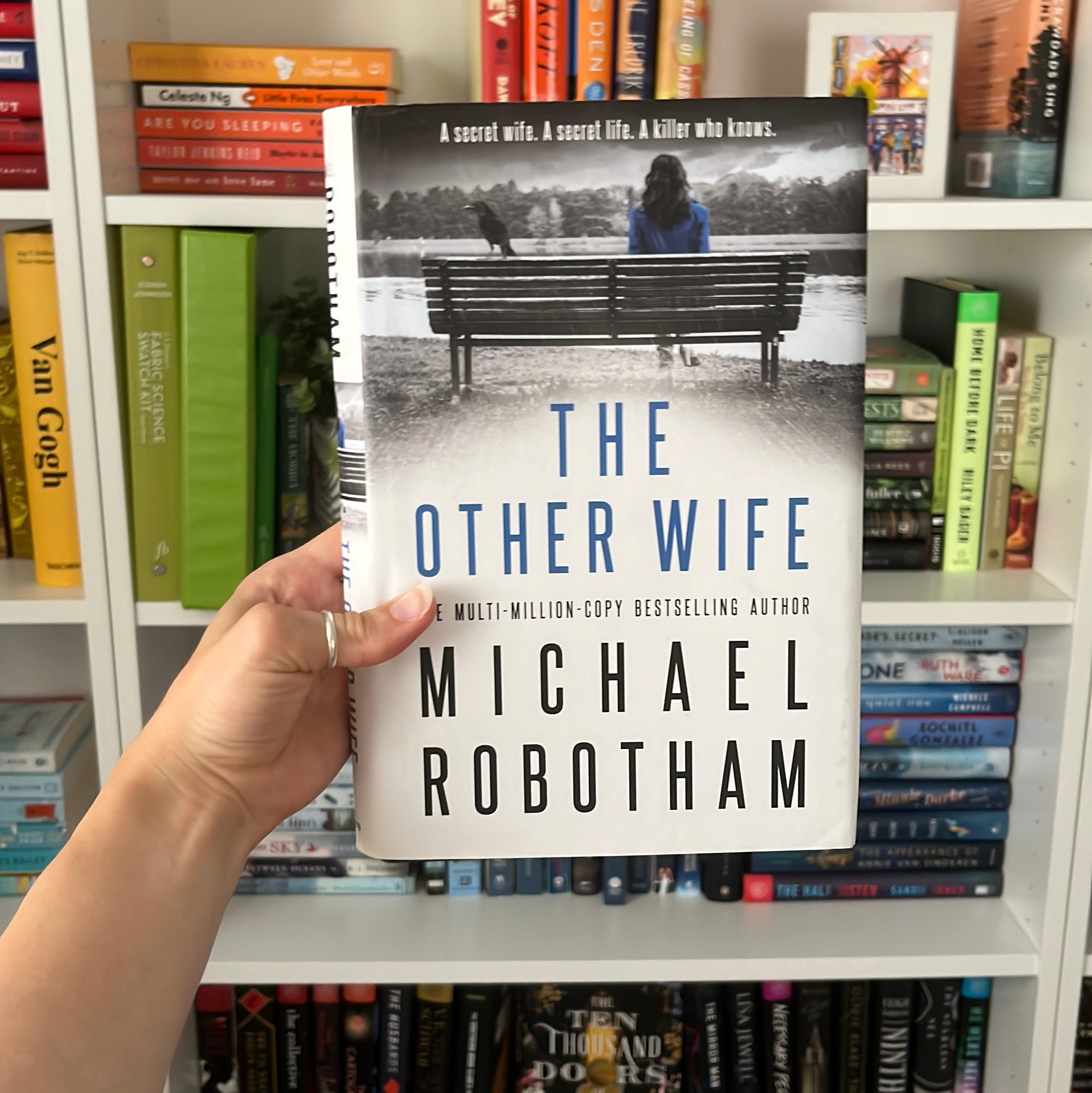 The Other Wife