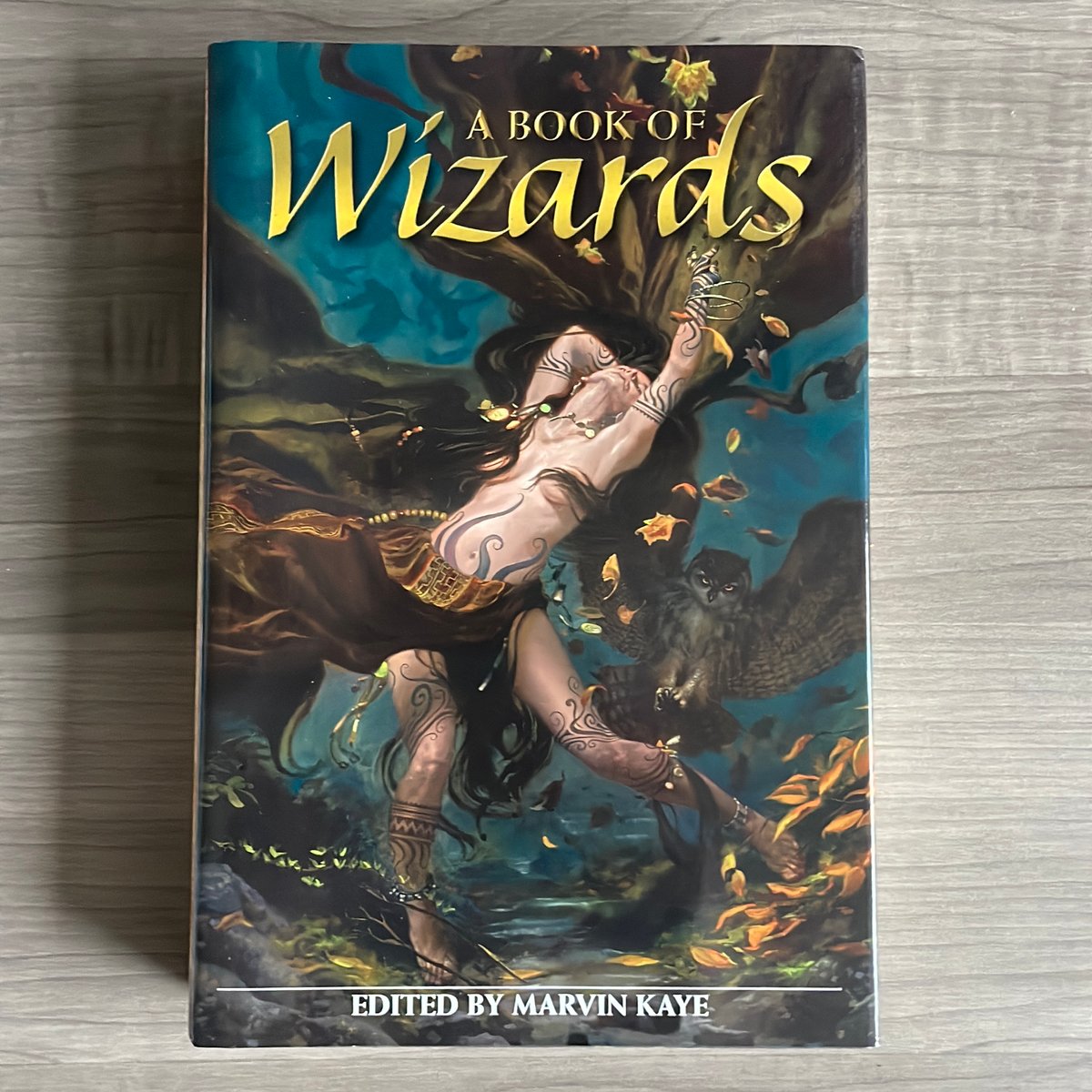 A Book of Wizards by Marvin Kaye, Hardcover | Pangobooks