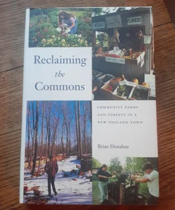 Reclaiming the Commons