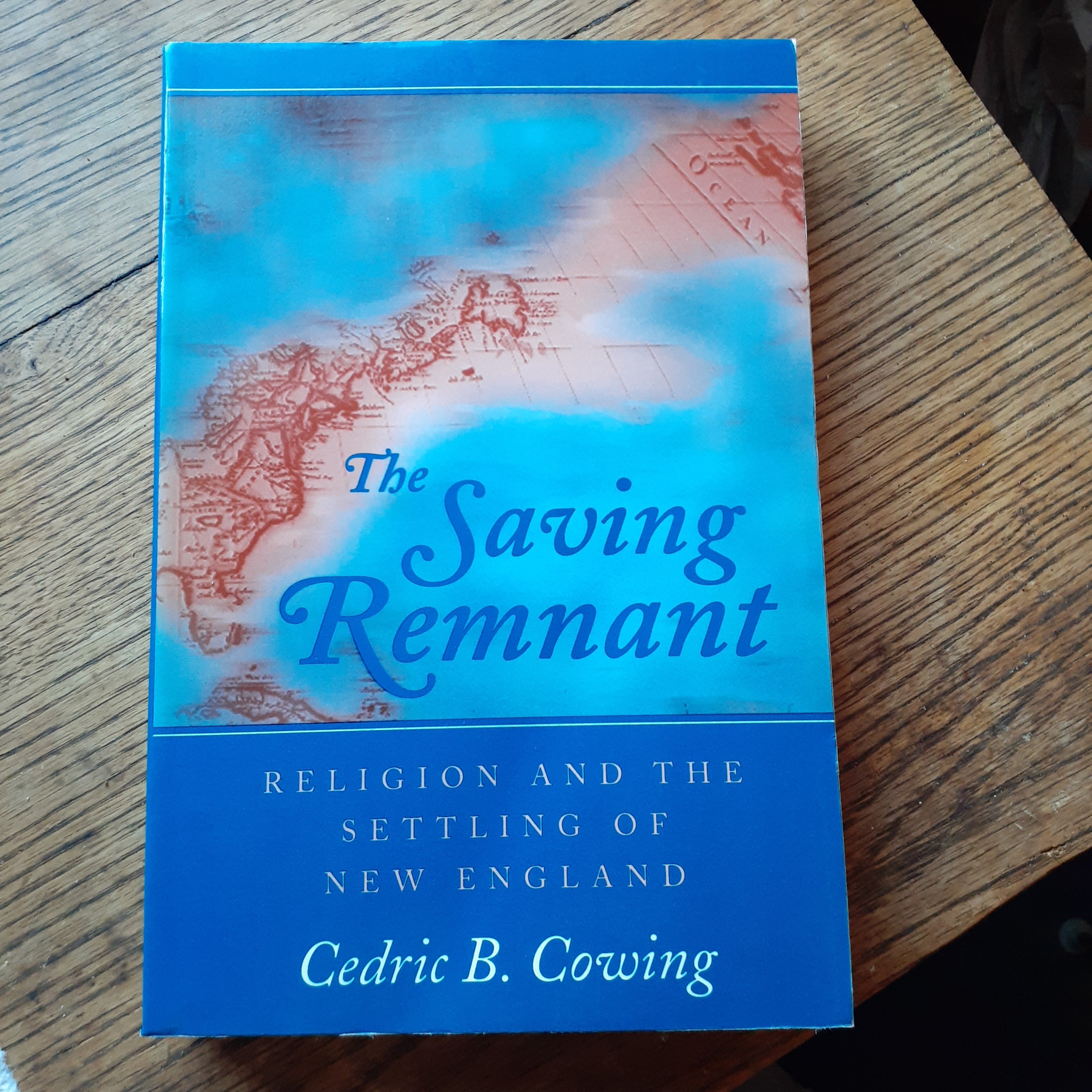 The Saving Remnant By Cedric B. Cowing, Paperback | Pangobooks