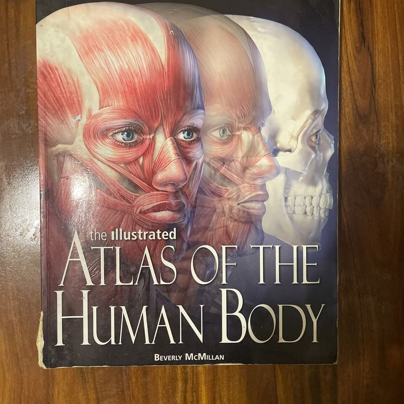 The illustrated atlas of the human body 