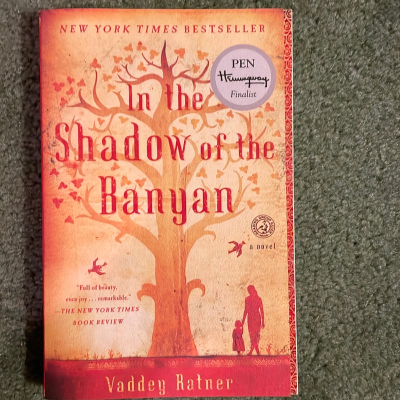 In the shadow of the banyan
