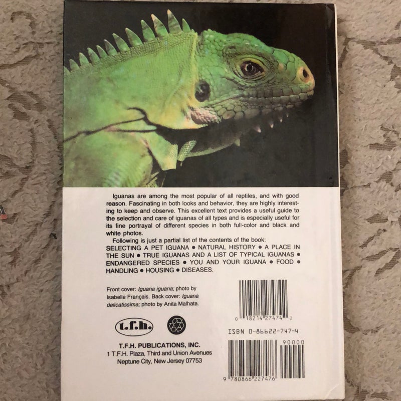 All about Iguanas