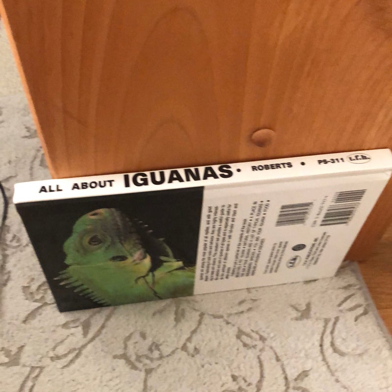 All about iguanas