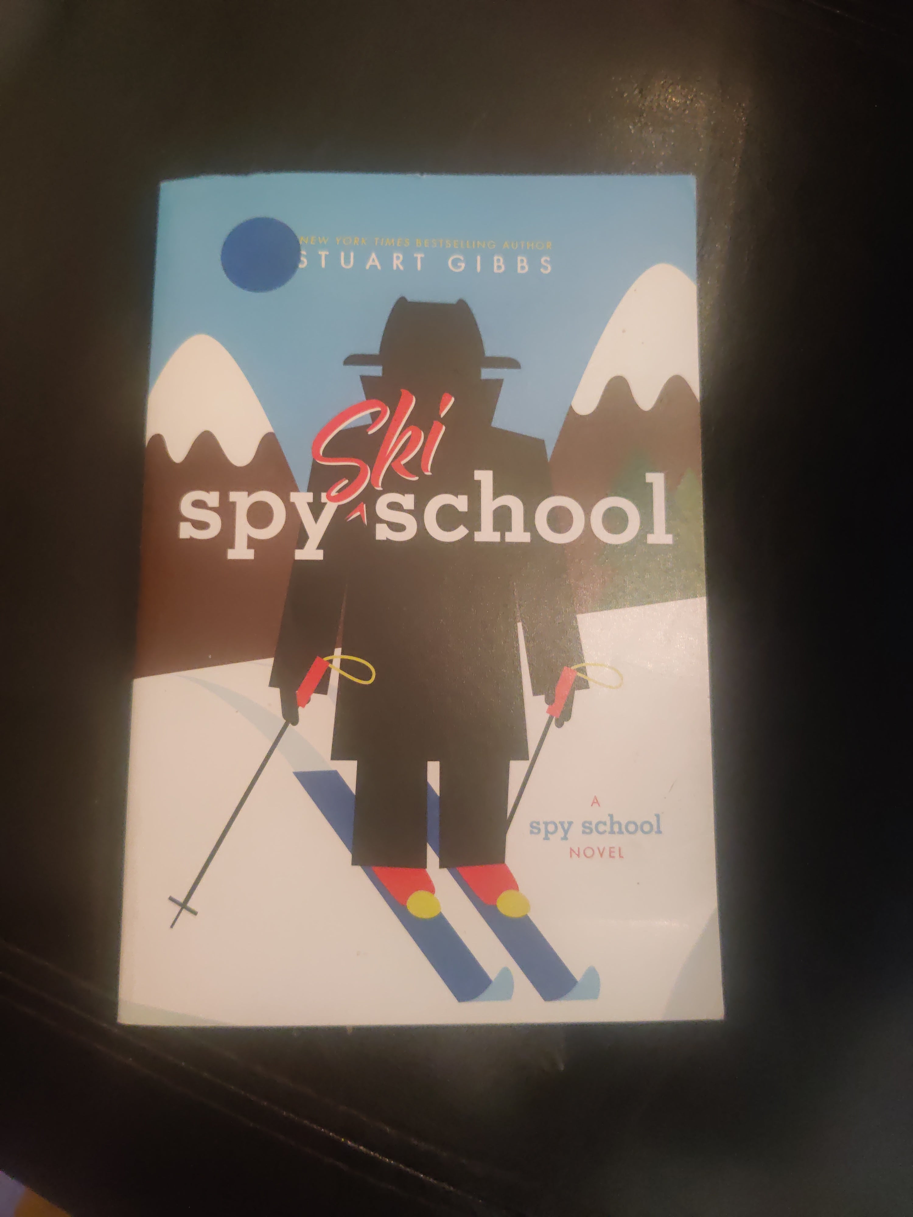 Spy Ski School