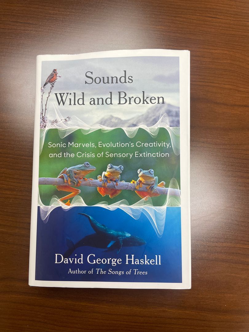 Sounds Wild and Broken