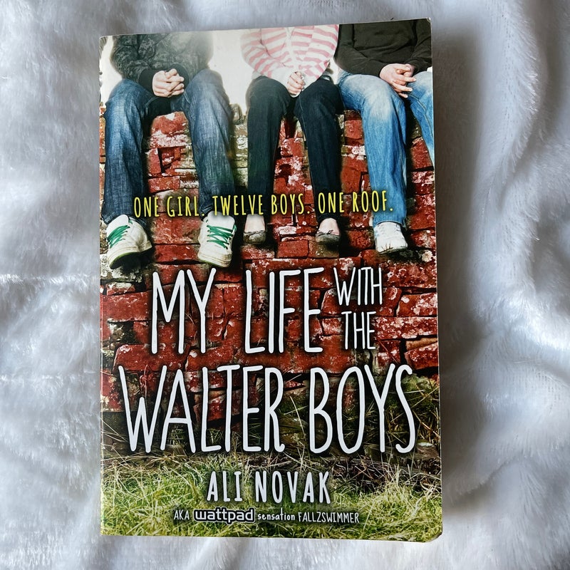 My Life with the Walter Boys