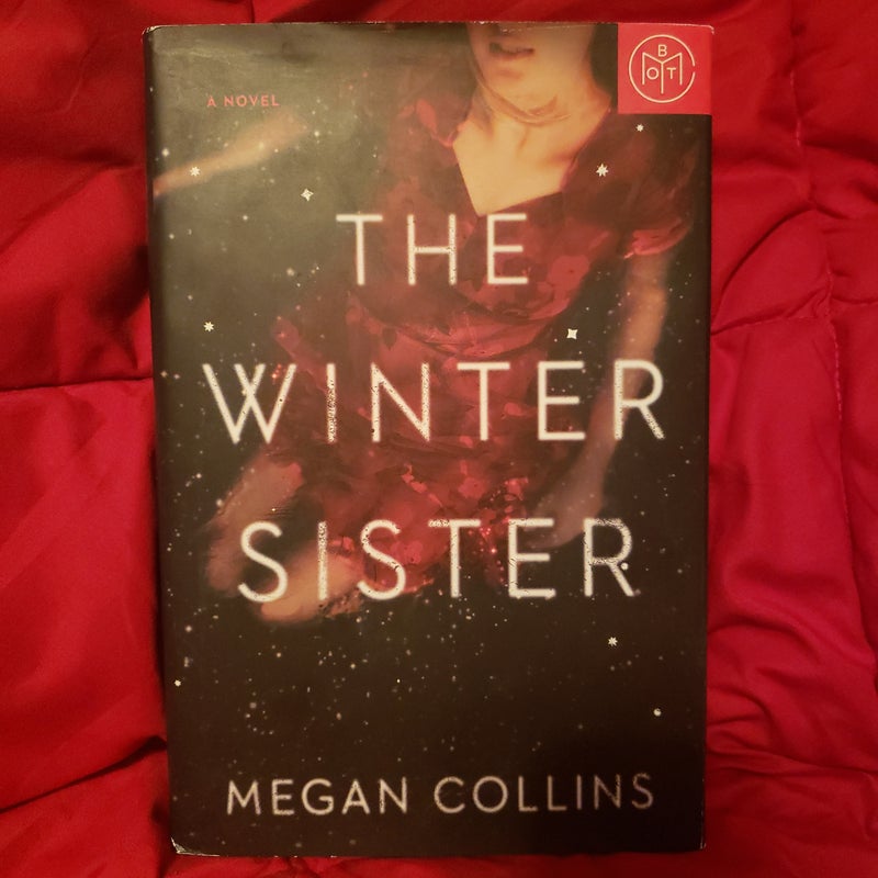 The Winter Sister