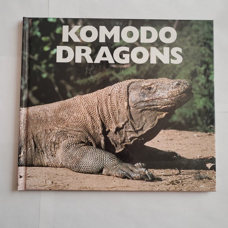 Komodo Dragons