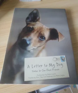 A Letter to My Dog