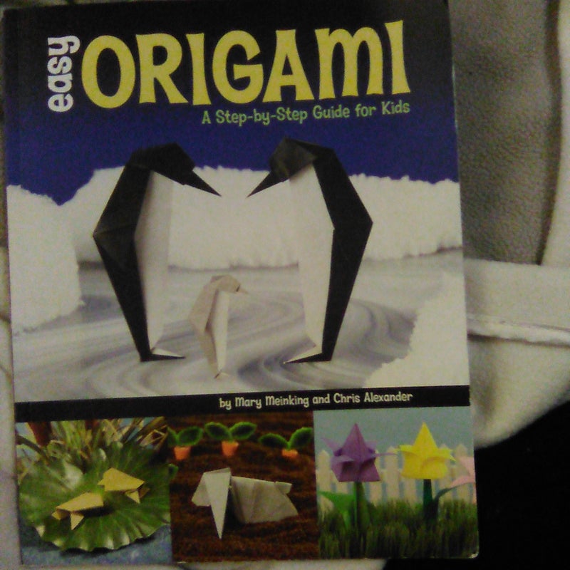 Easy Origami