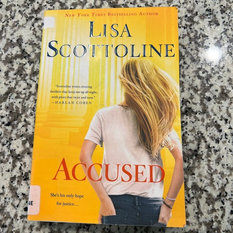 Accused: a Rosato and Dinunzio Novel