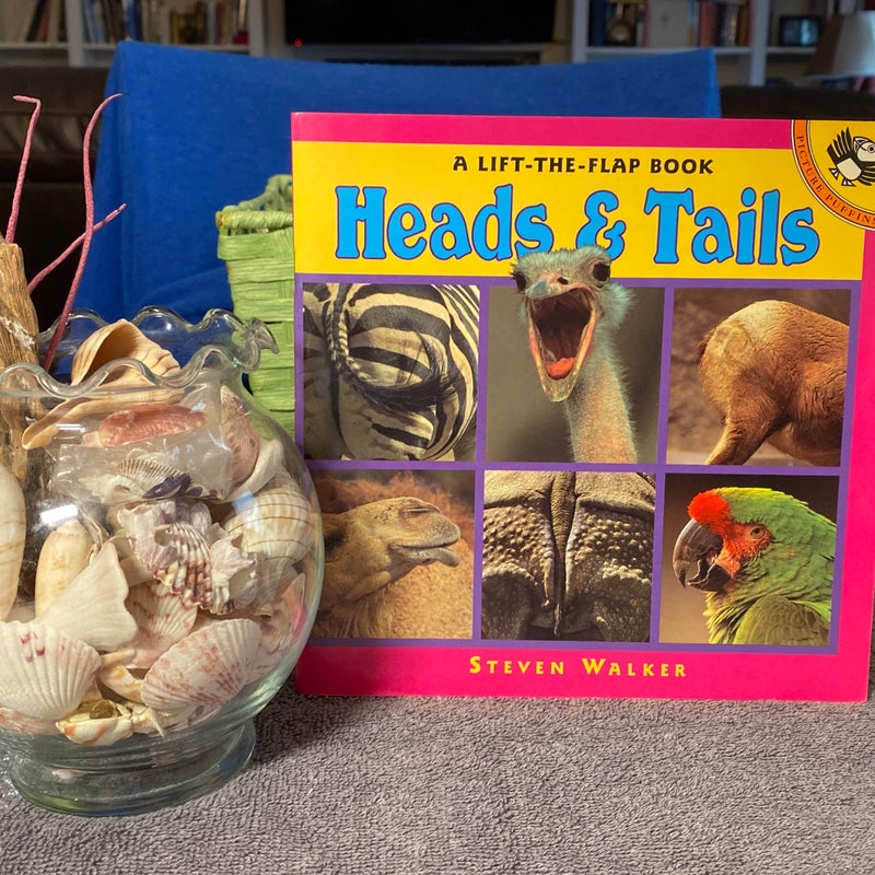 Heads and Tails