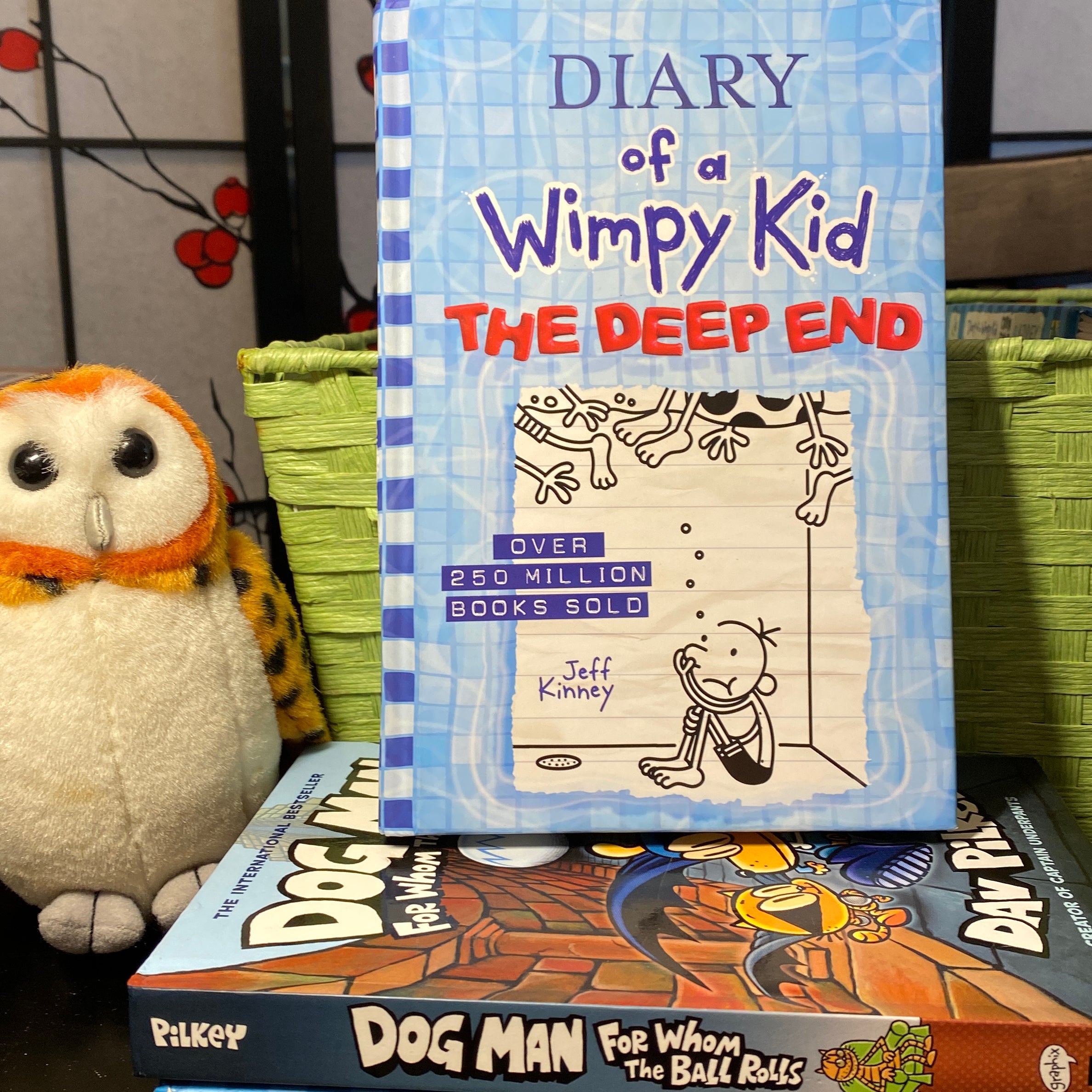 The Deep End (Diary of a Wimpy Kid Book 15)