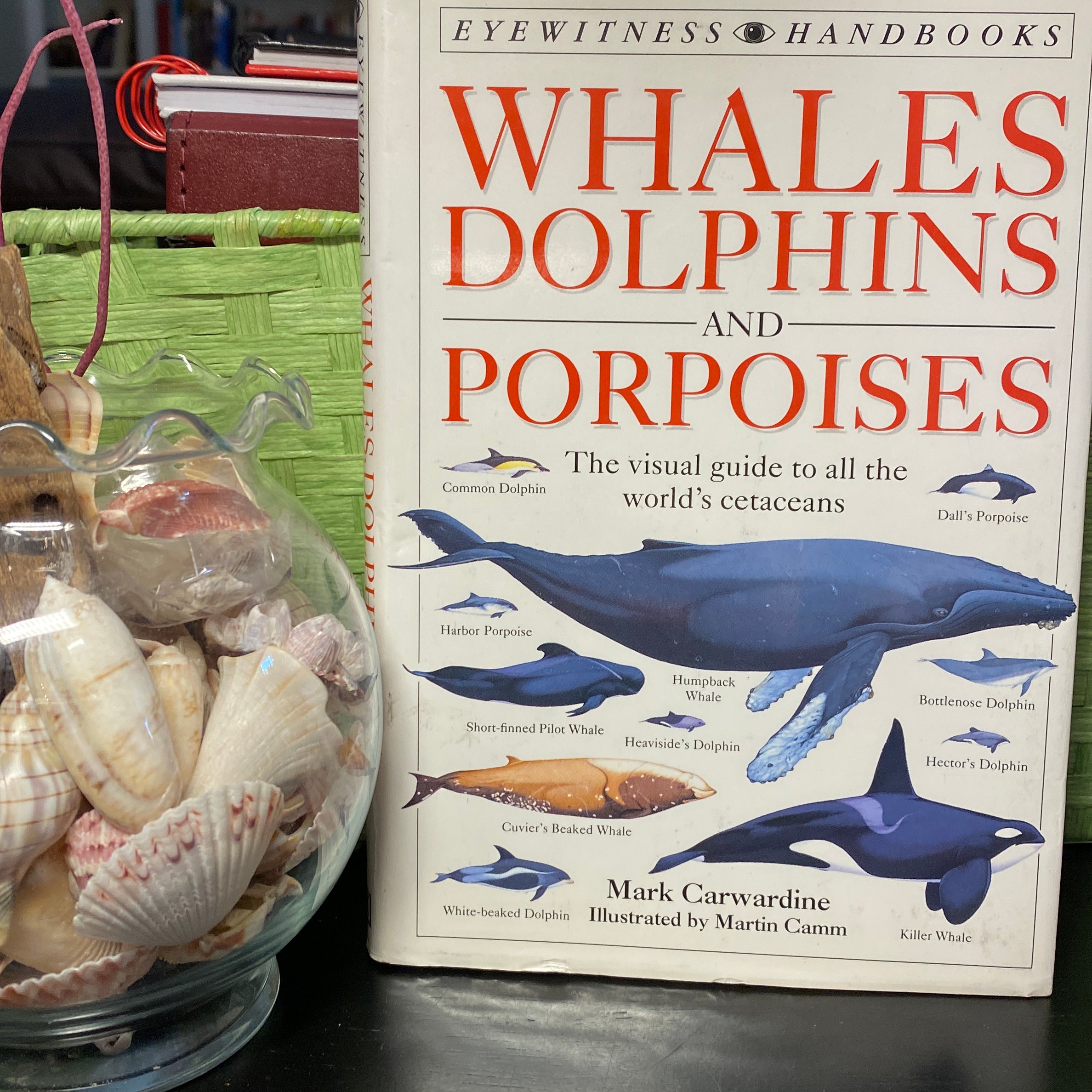 Whales, Dolphins, and Porpoises