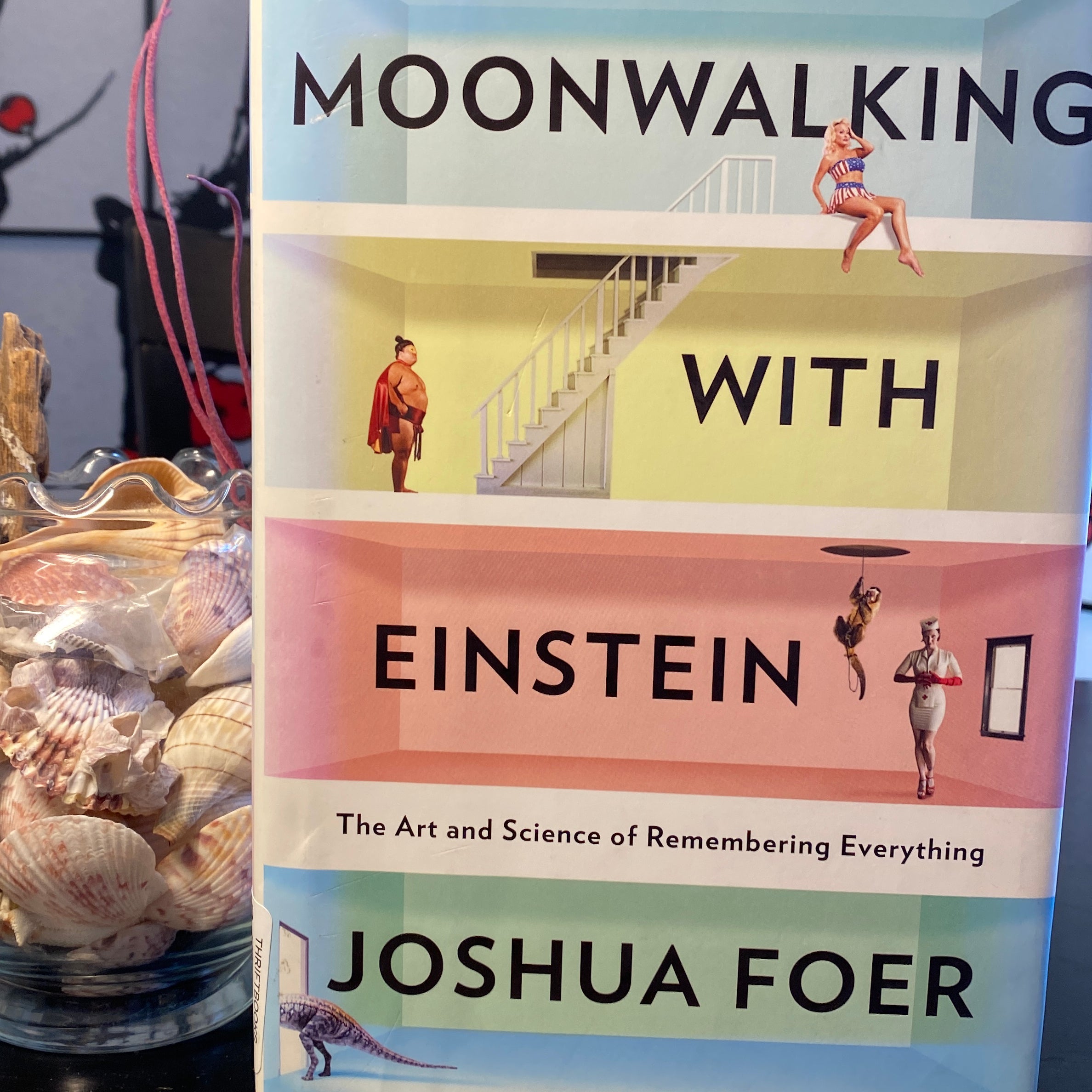 Moonwalking with Einstein