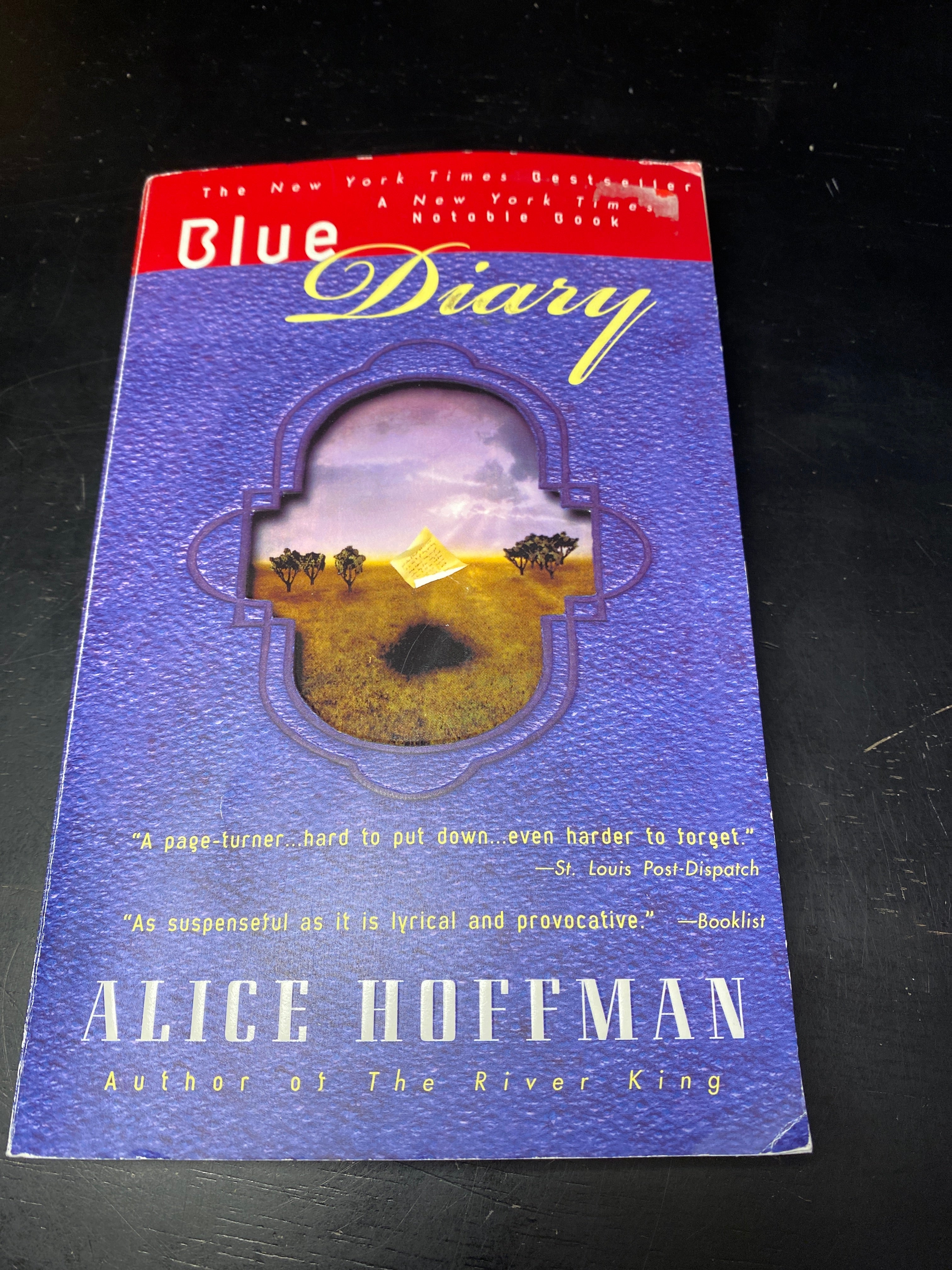 Blue Diary