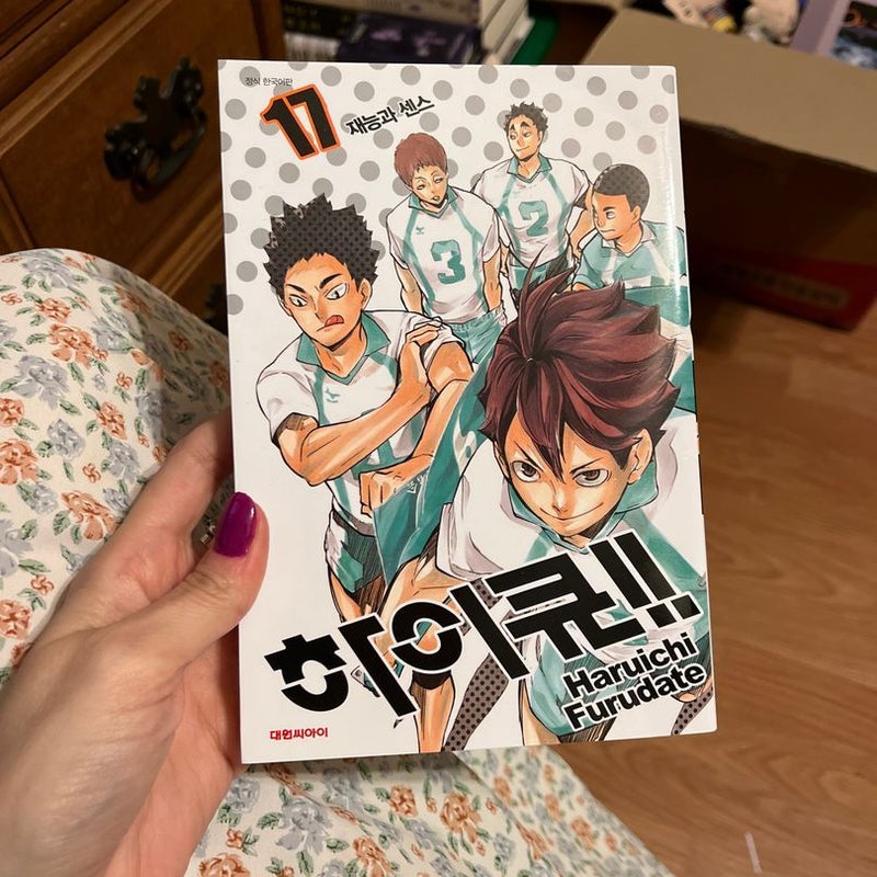 Haikyuu 17