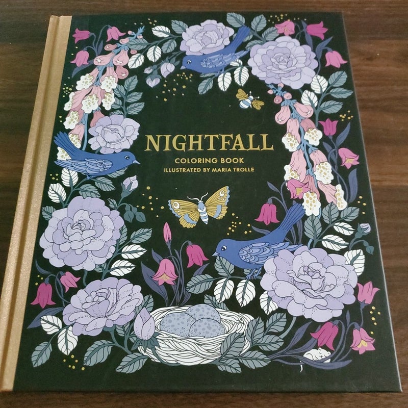 Nightfall Coloring Book