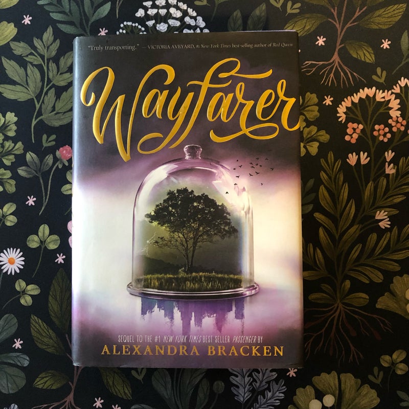 Wayfarer (Passenger, Book 2)