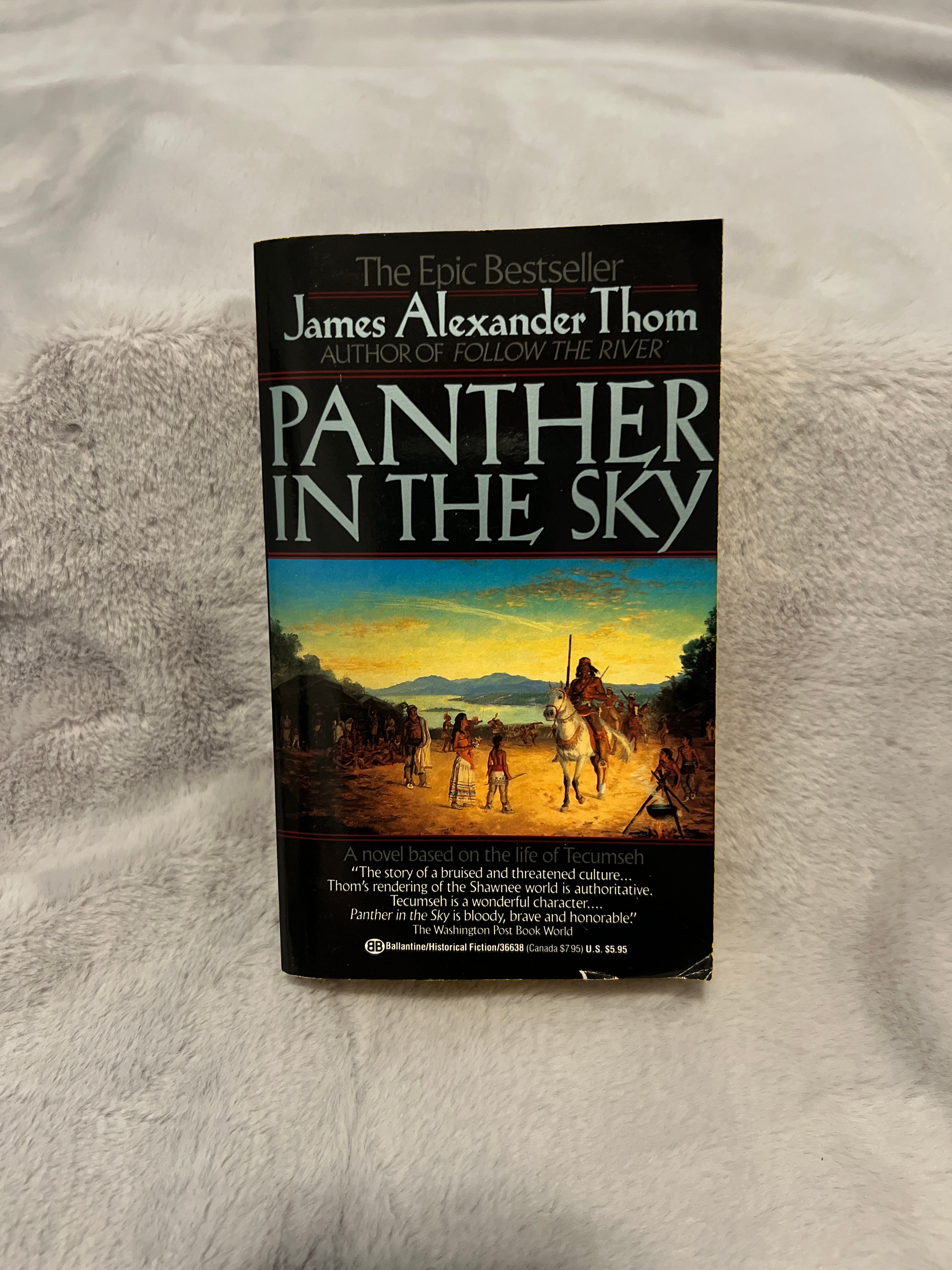 Panther in the Sky