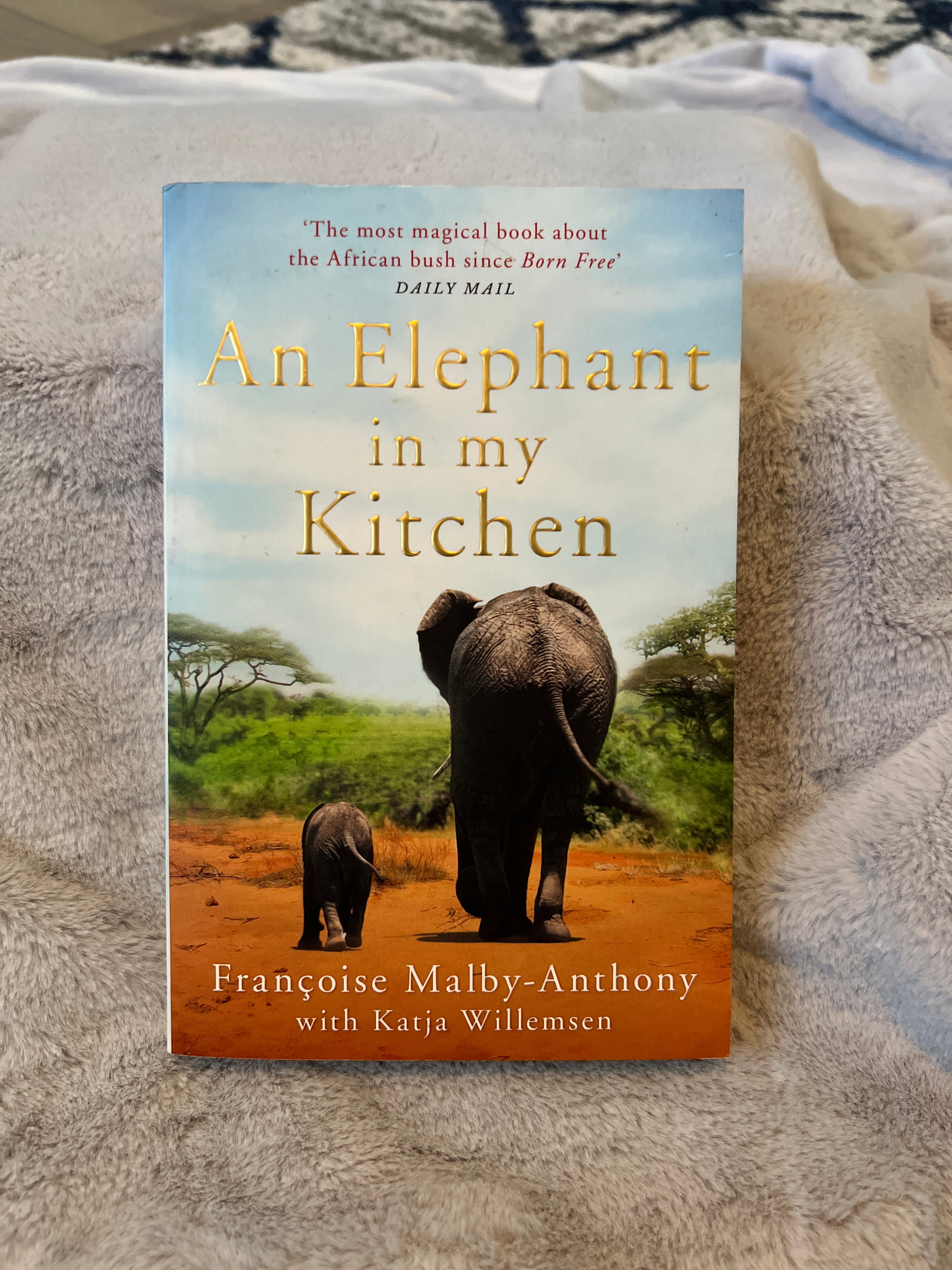 An Elephant in My Kitchen