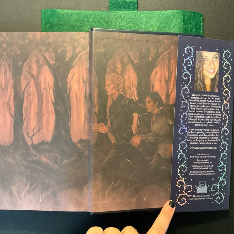 What Lies Beyond The Veil - Bookish Box Special Edition